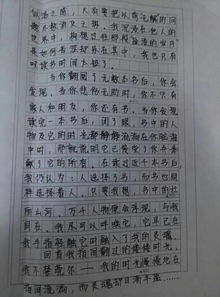 作文,敘事,校園里,故事