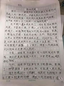 作文,足球比賽,五級(jí),小學(xué)生