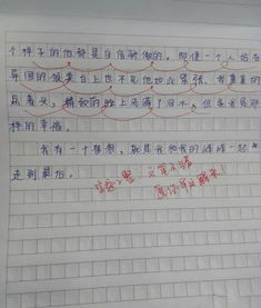 告白校園的作文教師版