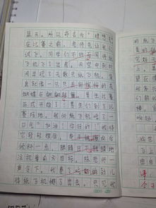難忘的一件事在校園里難忘的一件事作文,校園里難忘的一件事作文600字,校園里難忘的一件事作文350字三年級(jí)作文