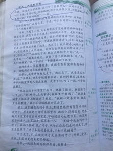 我的校園六小作文400字左右