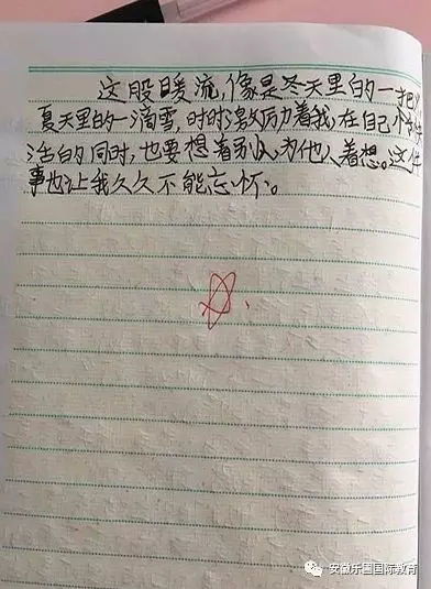 贊美校園國旗隊的作文