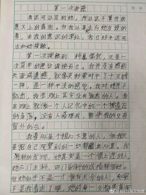 小學(xué)作文校園里的回憶