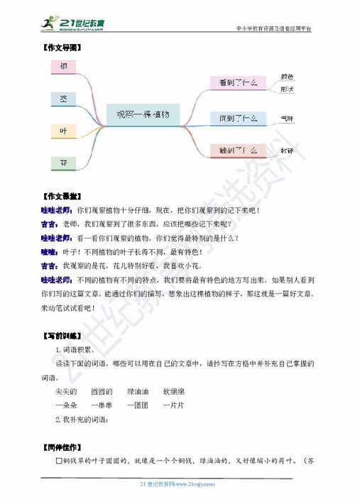 作文,植物,觀(guān)察,校園