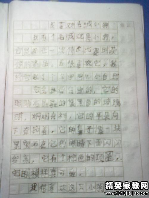 科學(xué)防疫校園作文300字
