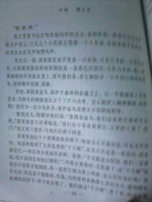 作文,個字,校園里,角落