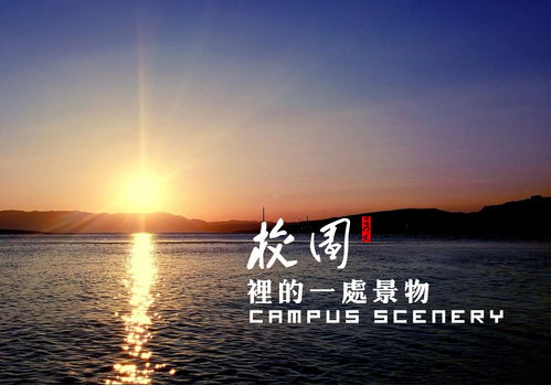 校園風(fēng)景作文50個(gè)字