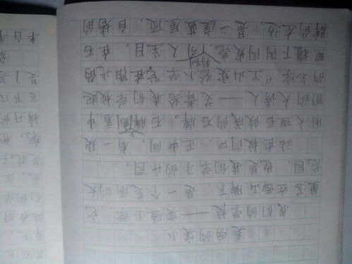 移步換景描寫(xiě)校園作文600字,移步換景校園作文200字,移步換景校園作文500字