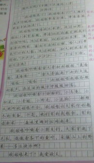 作文關(guān)于校園景物