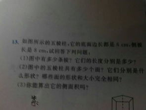 走進(jìn)校園作文900字
