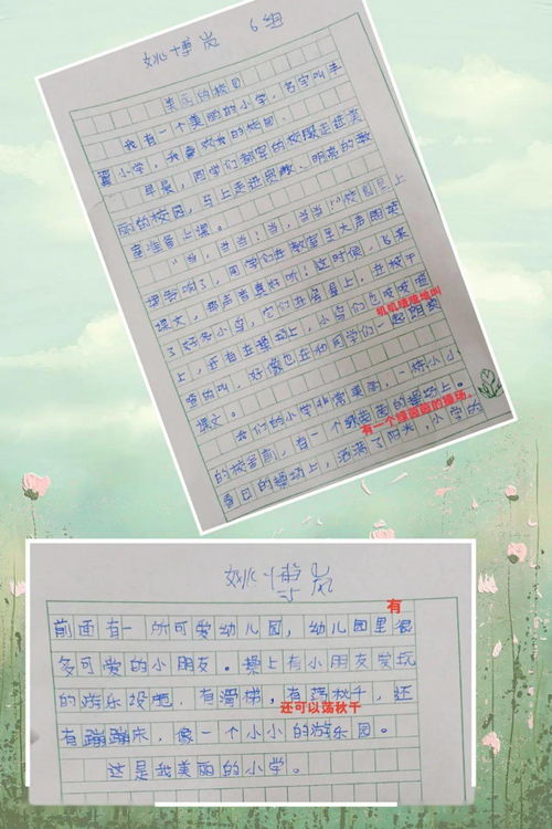作文,校園,活動(dòng),快樂(lè)