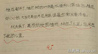 校園的秋雨作文600字初中,校園秋雨作文600字初一,秋雨中的校園作文600字