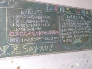 掃黑除惡遠(yuǎn)離校園欺凌的高中生作文