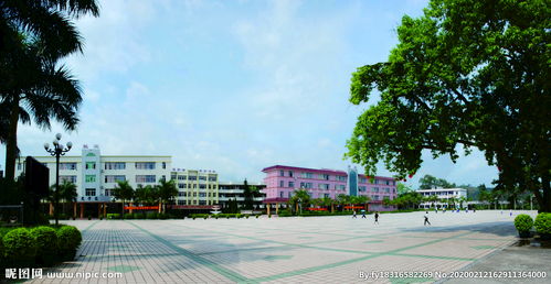 校園的一角作文臺山新寧中學(xué)