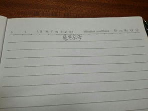 作文,操場(chǎng),校園
