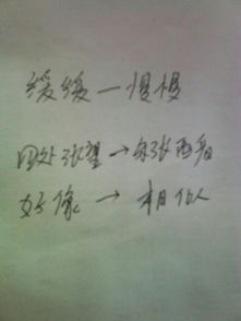 校園的一天作文500字左右