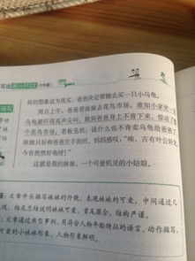 作文,一件事,周記,校園