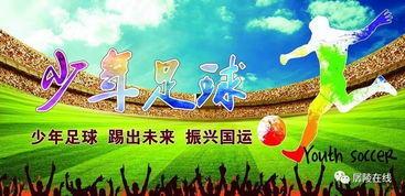 開(kāi)展校園足球文化的作文