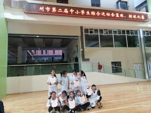 我的校園作文,實驗三小校園作文,美麗的三小校園作文400字