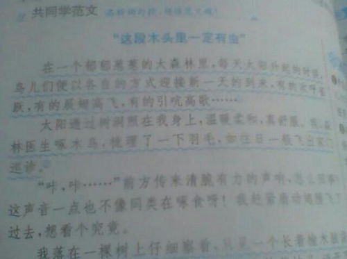 思茅二小校園描寫(xiě)作文