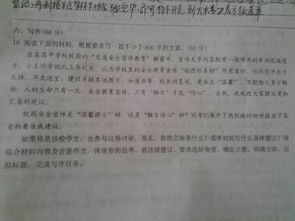 初中校園美景作文800字作文