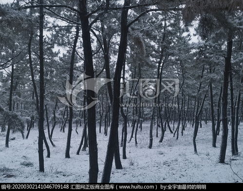 校園雪景運用視聽(tīng)觸作文