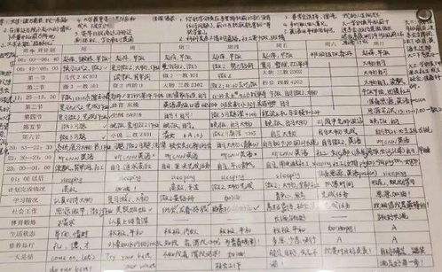 作文,大學校園,日子
