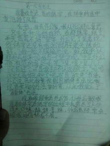 天的校園作文兩百字