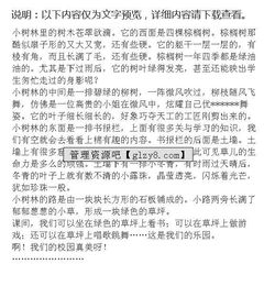 校園一角五級作文400字