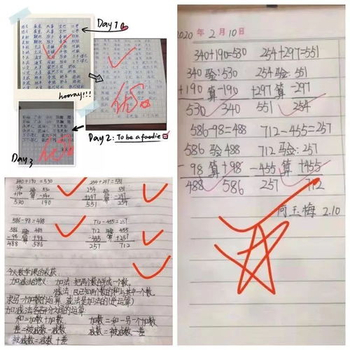寫安陽第一實驗小學(xué)校園的作文