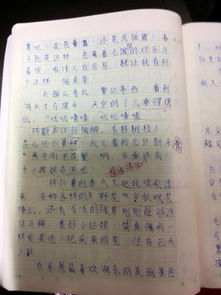 校園軍訓新聞作文200