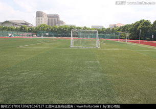 作文,足球場,新建,校園