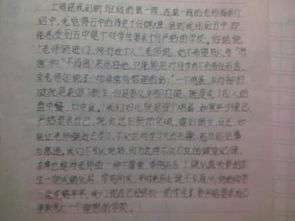 剛來(lái)到校園的的作文