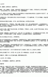 校園里的那面國旗作文