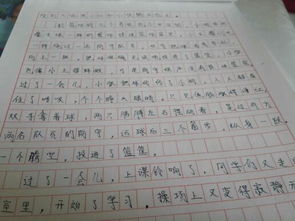 作文題目是我們的校園真美,作文題目是我們的校園怎樣寫,四年級(jí)作文題目我們的校園