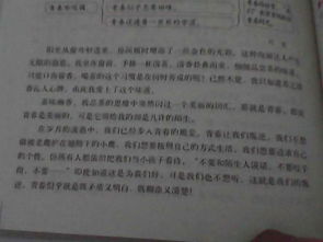 我的青春校園作文1000