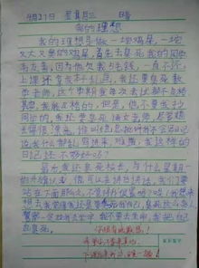 理想中的校園優(yōu)秀作文300字左右