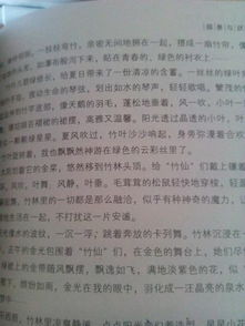 校園的生活作文寫(xiě)兩個(gè)場(chǎng)面