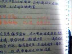 適合寫(xiě)進(jìn)青春校園作文的句子