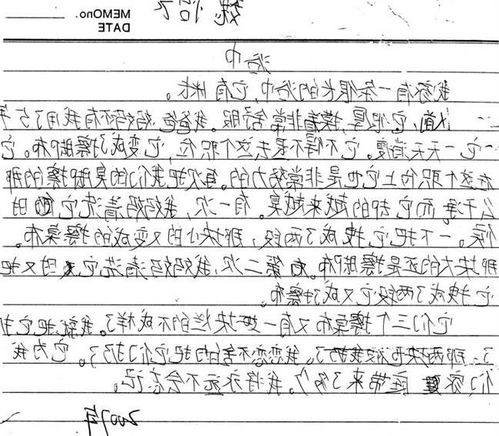 作文,教案,秋天,小學