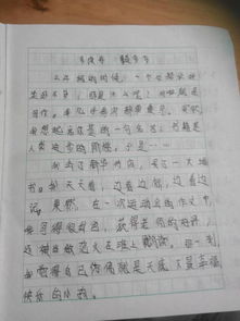 校園啟示作文500字作文怎么寫(xiě)