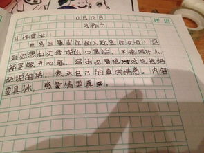 作文,美景,吸引,校園