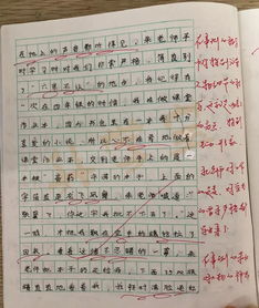 作文,評語(yǔ),校園