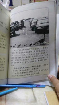 作文,從我做起,干凈,校園