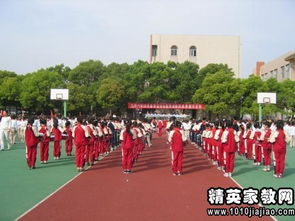 小學(xué)校園運動會作文600字,校園運動會作文300字三年級,校園運動會作文300字左右