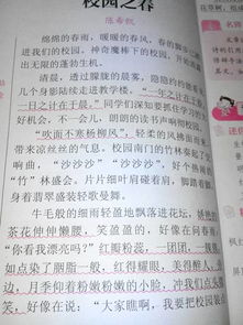 寫(xiě)校園的作文100字左右,寫(xiě)校園消息的作文100字,寫(xiě)我的校園作文100字
