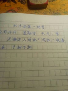 校園里的一場(chǎng)雪500字作文
