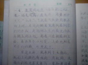 游校園移步換景作文