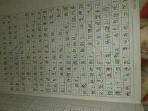 校園難忘的事作文600字,校園難忘的事作文500,校園難忘的事作文三年級