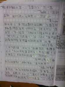 四級描寫校園風(fēng)景線作文350字